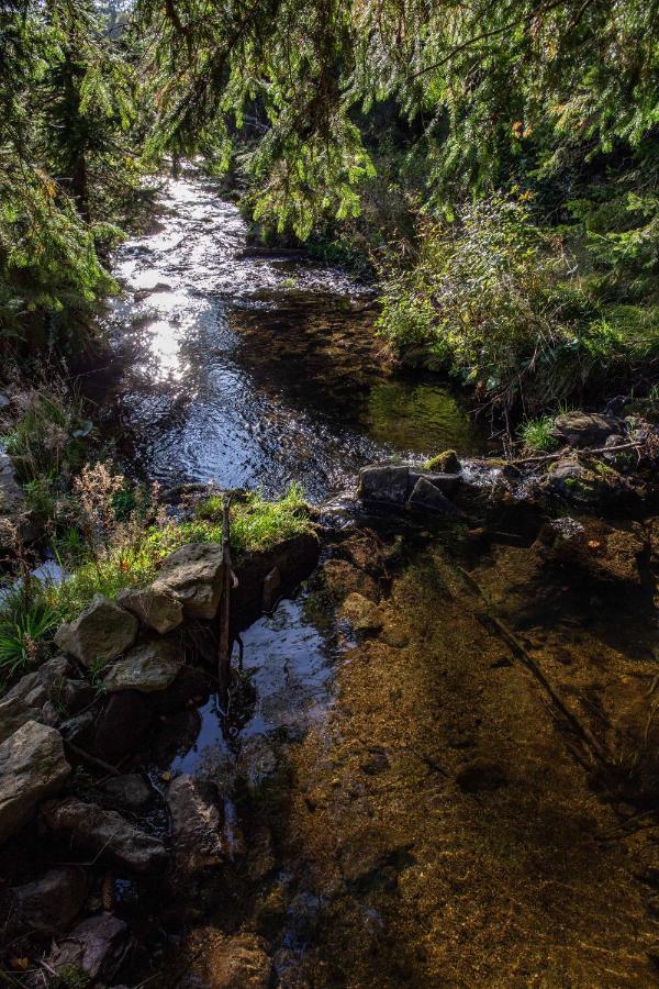 Domek alpejski Belveder Martina Železná Ruda